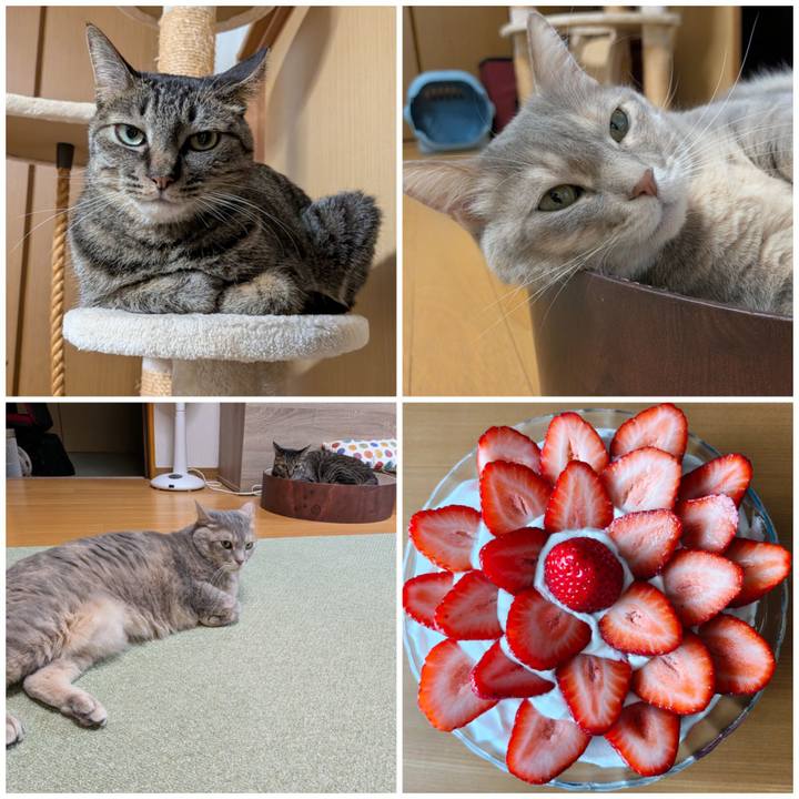 4cb7016b 7e27 44e0 9b7a eca4c55a6599 1774850476510