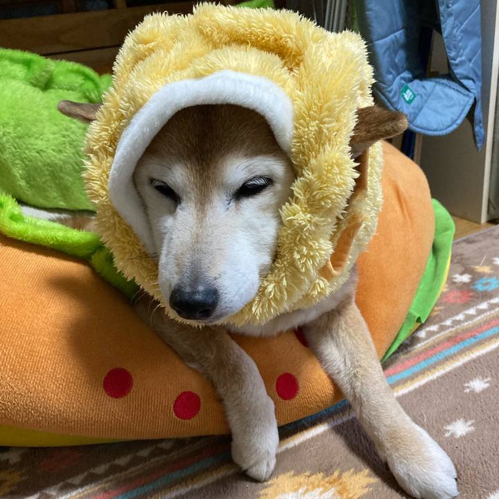 4cb7320e 013e 4c93 b737 51891047c214 1771476387414