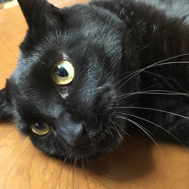 4cb7325b efc7 4542 b113 59f86e2bd76c 1542757598872