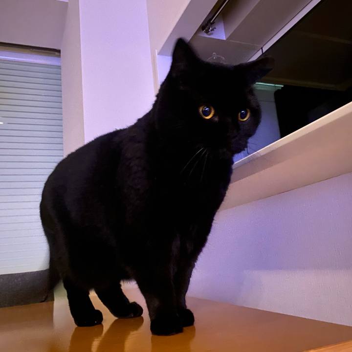 4cb73295 ec53 48c0 9668 049c6441f6e8 1767444139483