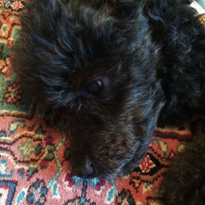 4cb75b6a ae11 4362 b6be e49244740b4c 1562899428545