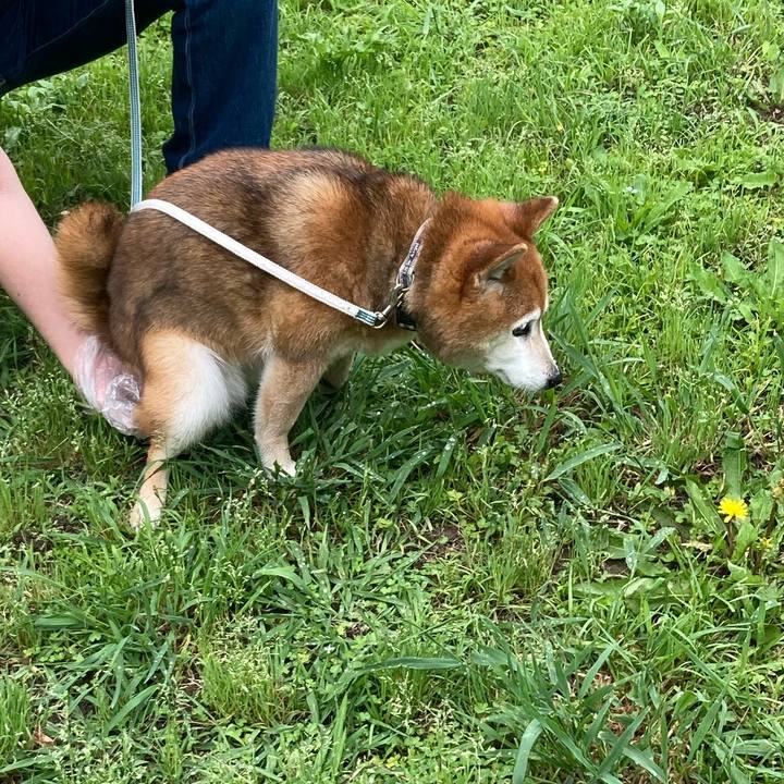 4cb7a78b fd88 454a a804 1d85c5a3ea0f 1747542398956