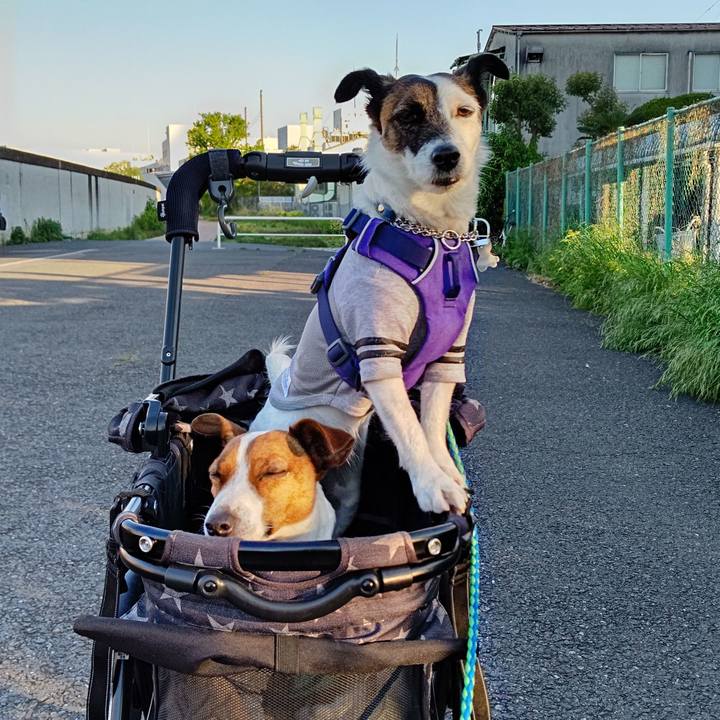 4cb7ab04 dd6b 4ef4 8aee 71f03008f5a3 1618992935459