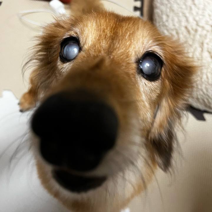 4cb7bc11 b564 44fd 90d3 85b2cda32b7b 1665835348273