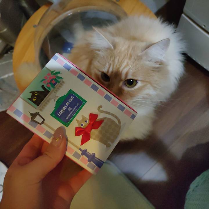 4cb7e283 c579 41ca bf43 db22b3bb65bc 1710425832699