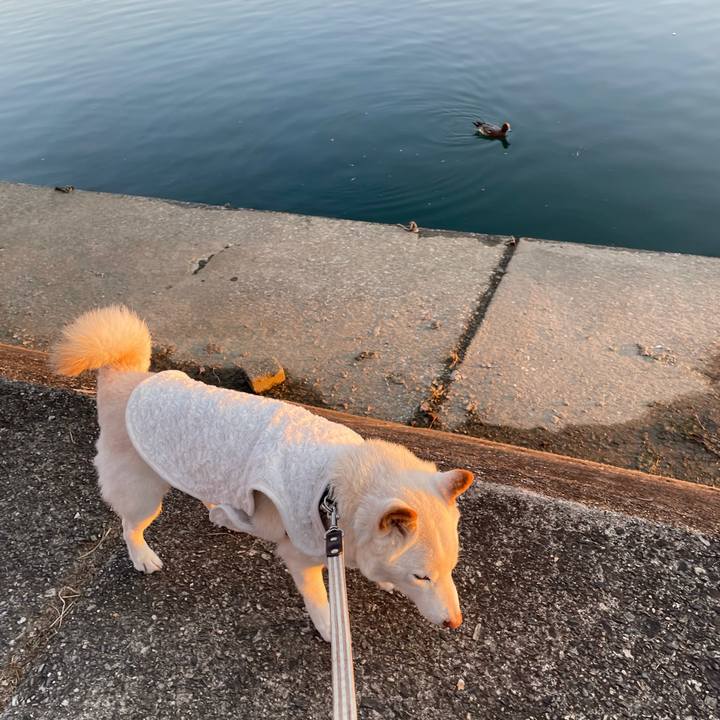 4cb84f18 924b 4ed5 b7da 2210eb8561e8 1638704542935