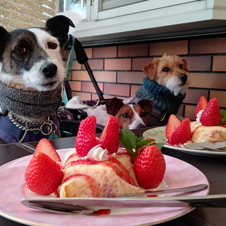 4cb86681 0250 464d 94d4 aa292a83c534 1677328249432