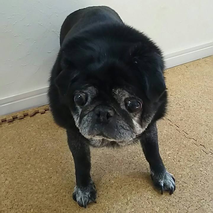 4cb8a7dc f0a8 4b8d b660 03b271d9e167 1550936143847