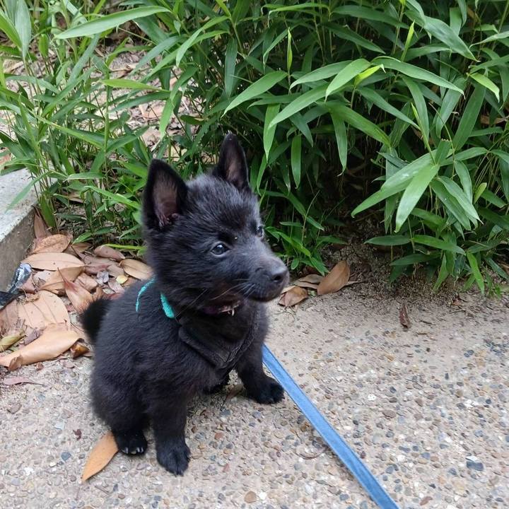 4cb8c734 3f2e 4382 b163 41460cdce162 1748647496816