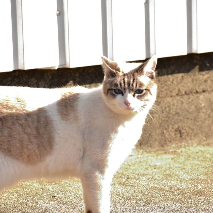 4cb8ee68 2e12 4762 85d0 708f540440ff 1517547521684