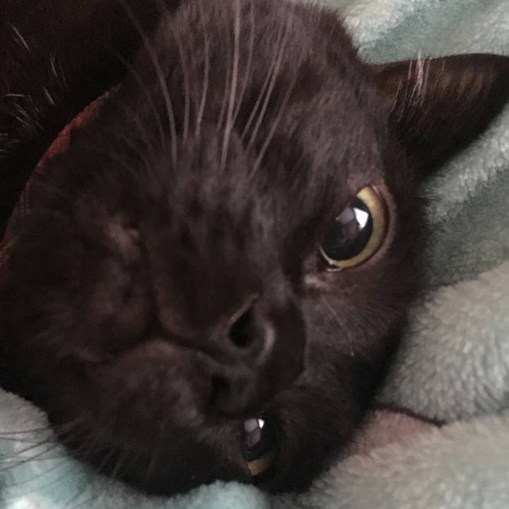 4cb90f49 bad4 4a18 9a21 5a983b0e1123 1511156042852