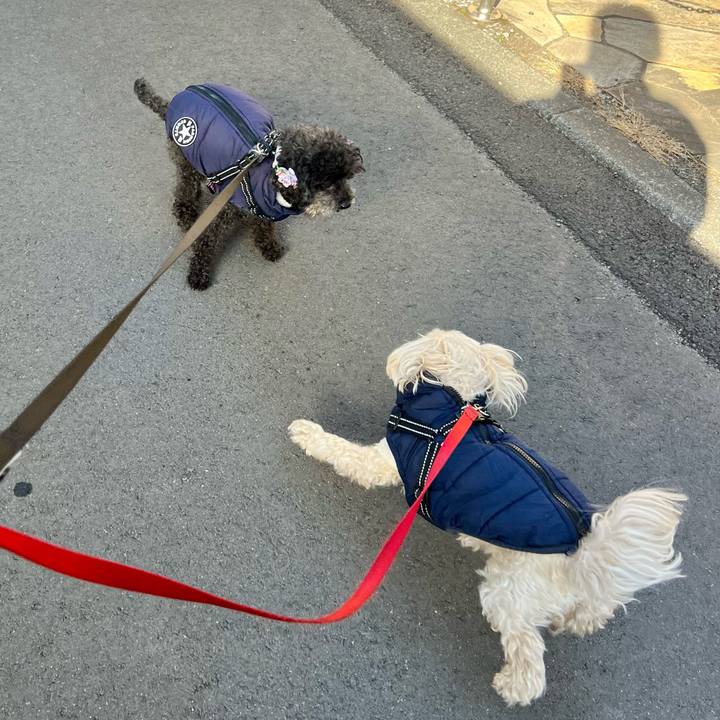 4cb9859d c8c0 474f 9c4f 9b6afd47e098 1769415428778