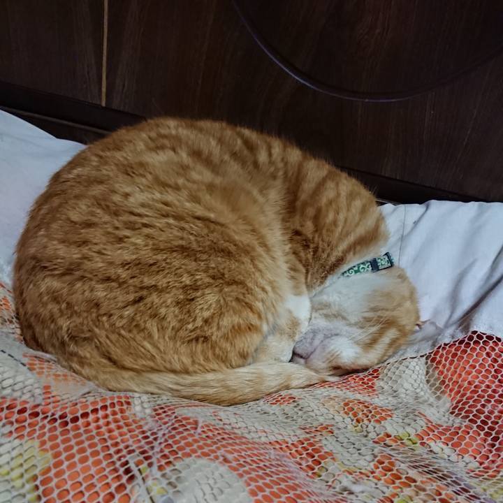 4cb9bd0b 5bb3 4ad5 919c 0a30b3bcd1b8 1585480600823