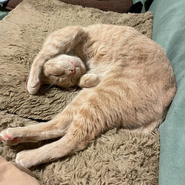 4cb9c26f 3c3a 40ee 9898 d291bef2eb8a 1623843490277