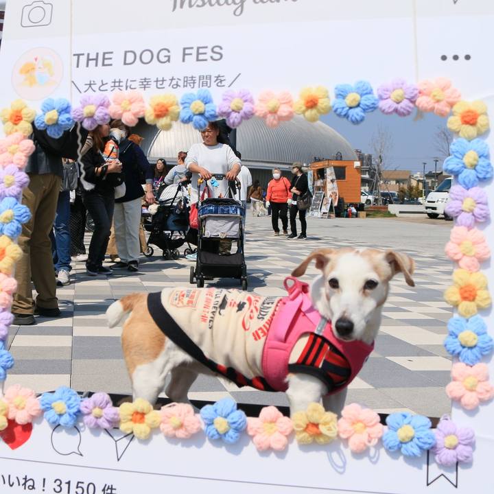 4cba6eed 40e4 487c beec 5a438960d2d2 1774827521382