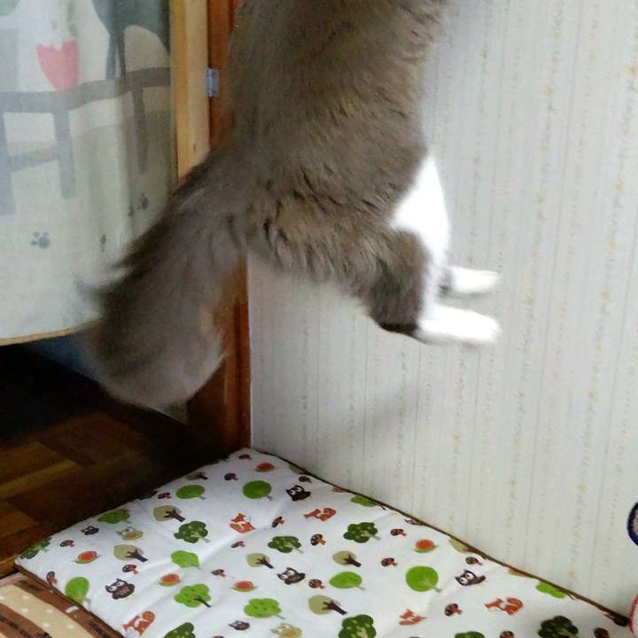 4cba7250 03e5 44ee 9f9b 979353c4ec81 1608026001923