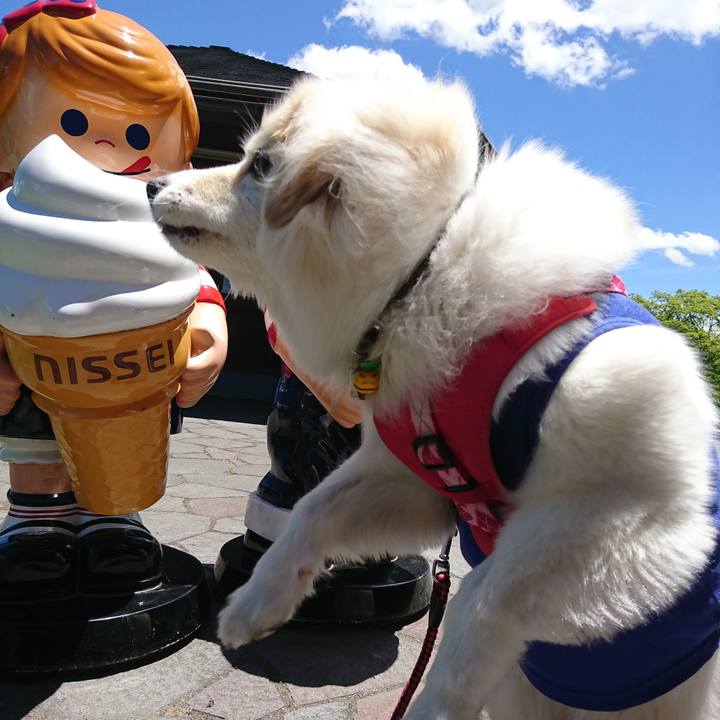 4cba9f07 9b17 449e 9acf 56b339ce2a24 1529636787325