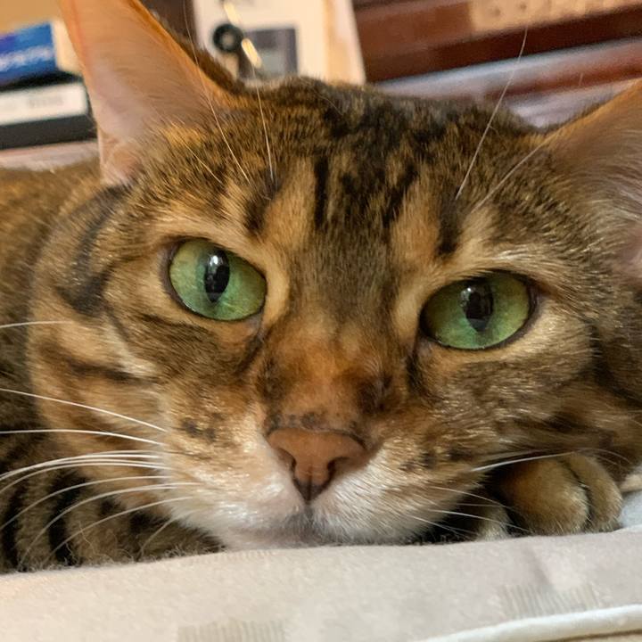 4cbacb8e 6532 466c 9515 edf750bc84a3 1623798454012