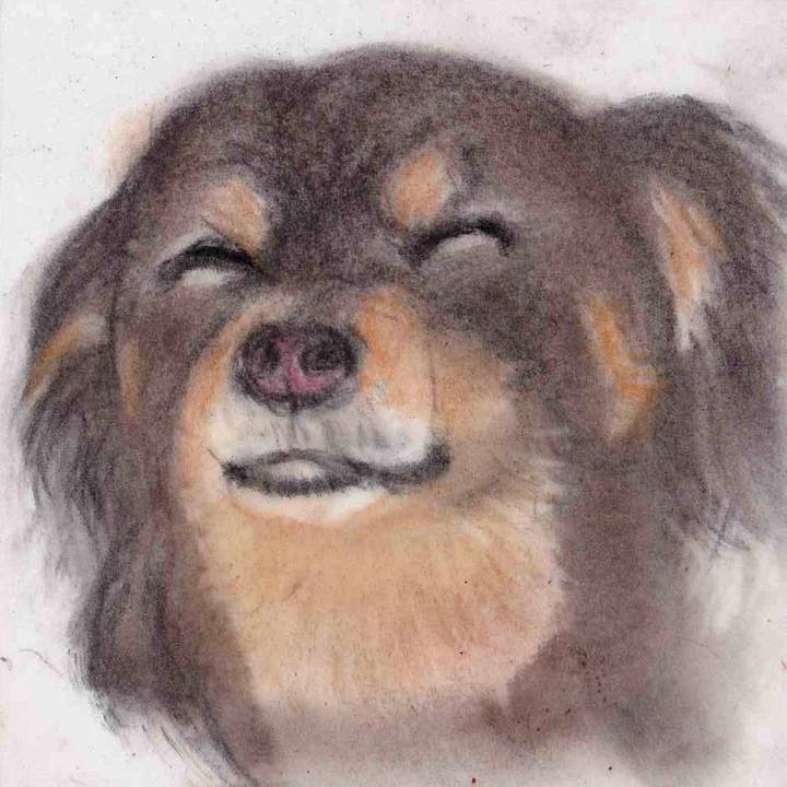 4cbacf92 7750 44cc a27c 0eb9724c4f95 1658709519052