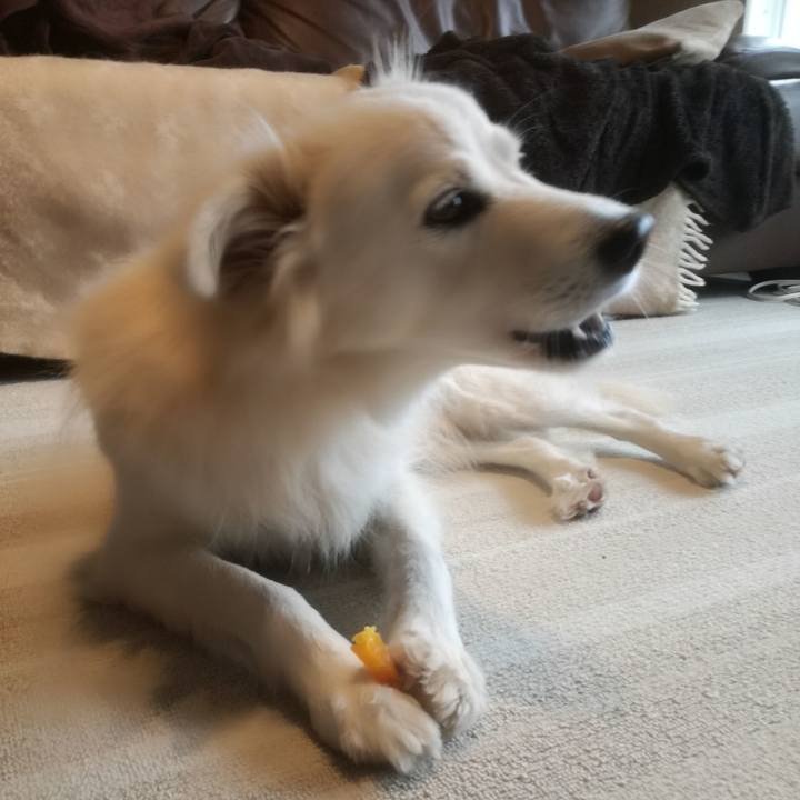 4cbaf06b e5ea 4896 91b8 0c7b7739b665 1511924301272