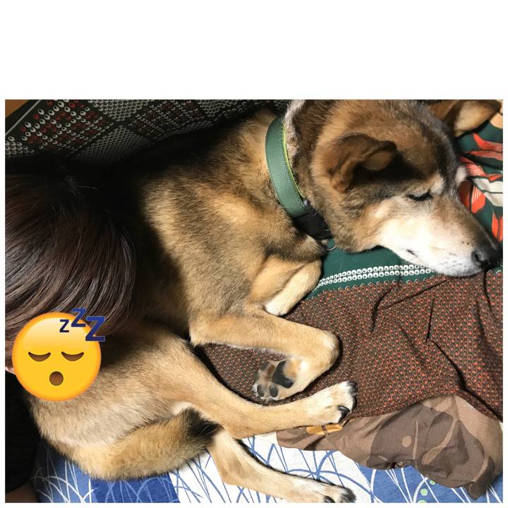 4cbb115f a608 4a1d b5cb 0d9ecfe1a714 1544110112891