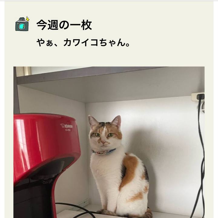 4cbb1bdc d760 46f3 b99c 1d80687f986f 1729689422729