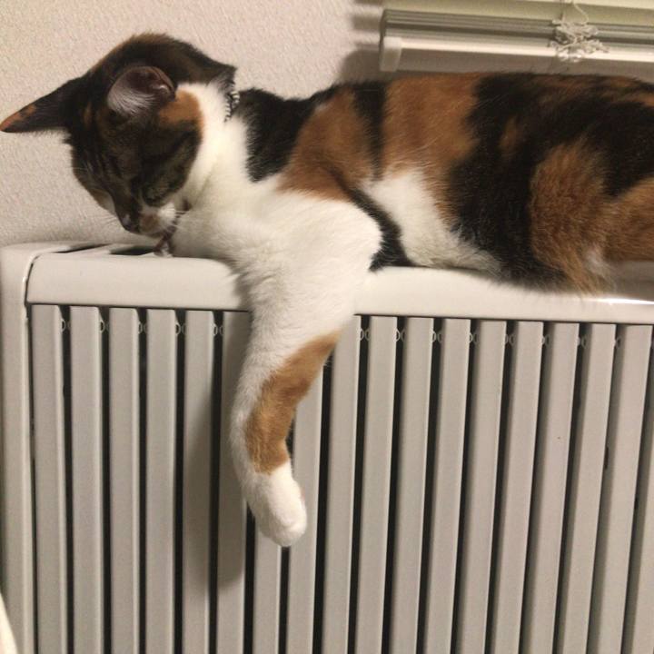 4cbb1d36 e886 44ca 8ddf 80aaa7039031 1510166909917