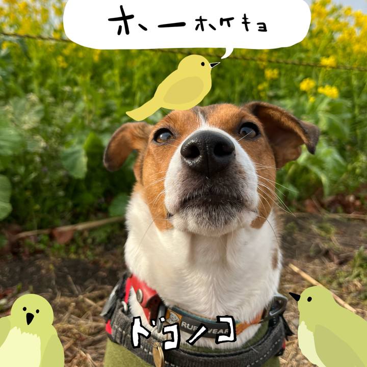 4cbb30c6 fcde 433b 885a e8de30637801 1711267223052