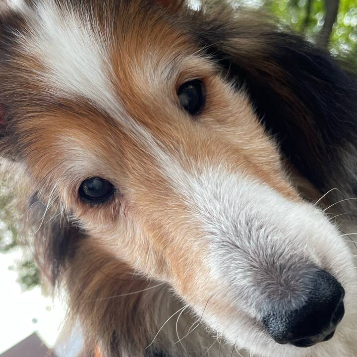 4cbb3c52 4704 47c2 a2ab 84d04d835fef 1656588195752