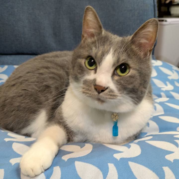 4cbb49f4 5ab7 412f a70b e523008953cb 1746534317909