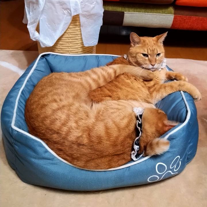 4cbb8396 b52a 4465 ac5b 10accda434f4 1602721286839