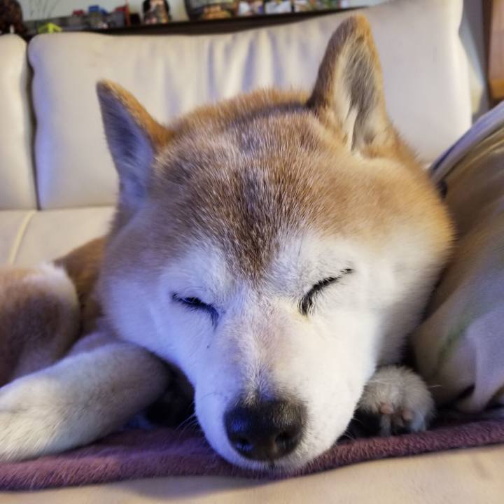 4cbbc5ed ee55 4b45 9c91 2b66d3c8099b 1709766659787