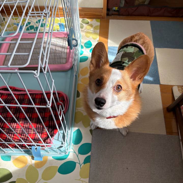 4cbbdaae 1cfb 4b31 96d3 178d43e71f88 1771646349498