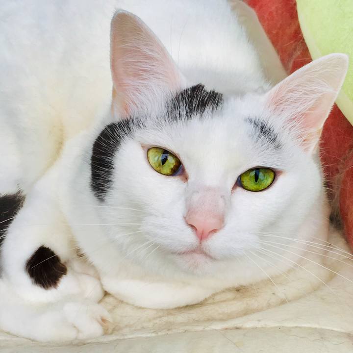 4cbbe82f 7d6c 47b9 a48f 2bdf1c075ce6 1561777017741