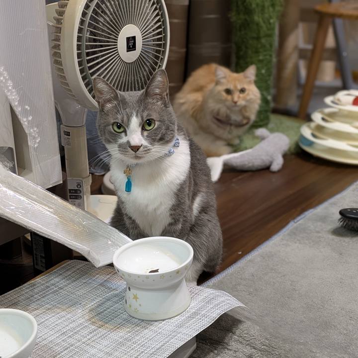 4cbc2ba3 a961 489c aea7 cb0109b615a4 1733827176102