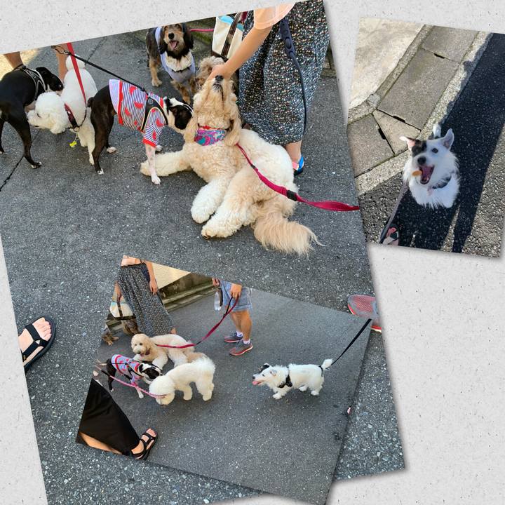 4cbc6909 5fcf 4ca8 aa7d 224b6ec0571d 1662421116040