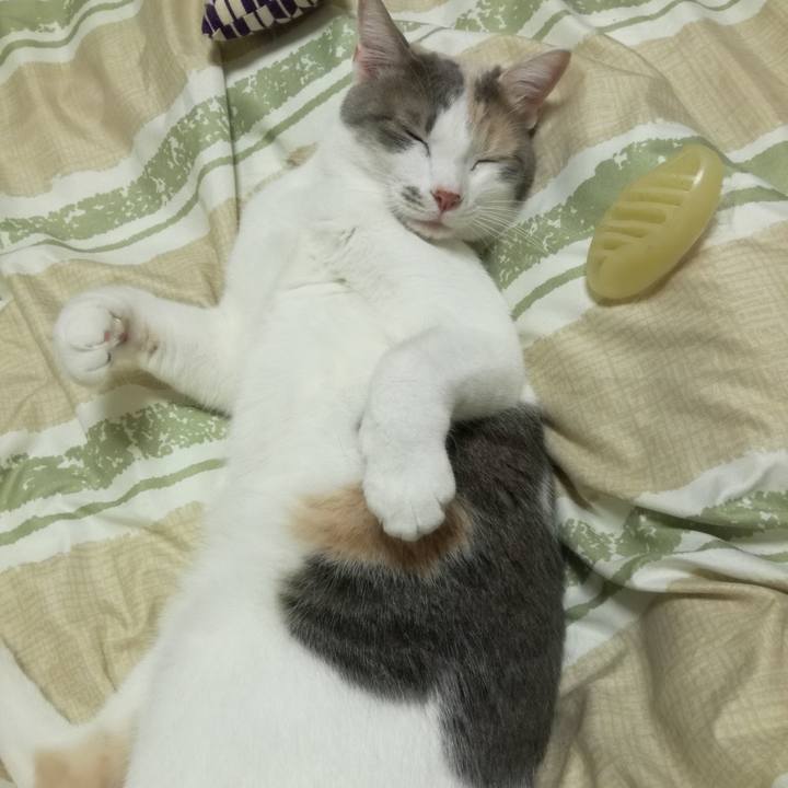 4cbc95a9 d886 4ab1 b192 feb42af355f2 1520552128539