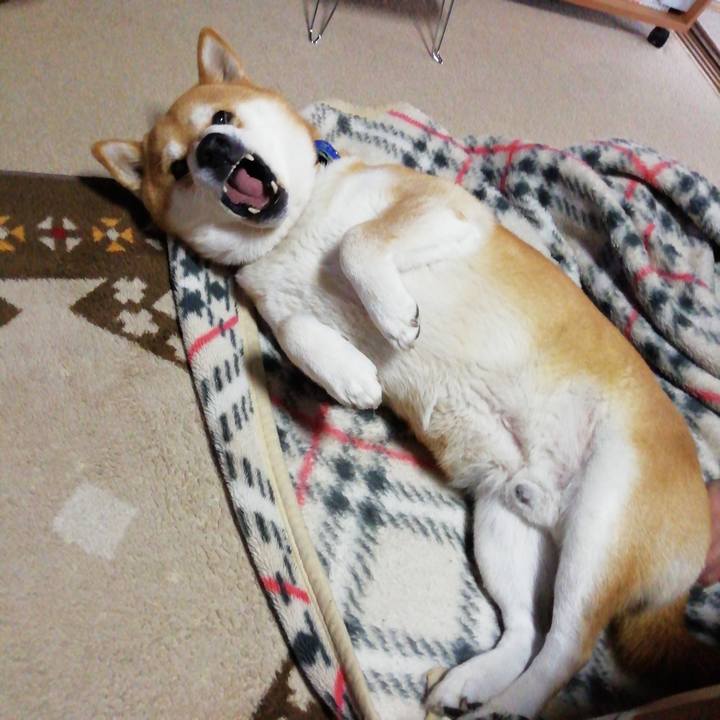 4cbcac79 8fc9 4054 8f31 6023e7e4b72e 1582252619904