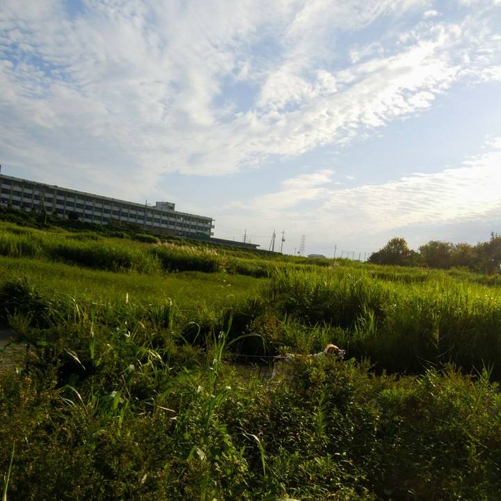 4cbcdcbd 5064 43b4 acec c810894b34db 1537702107991