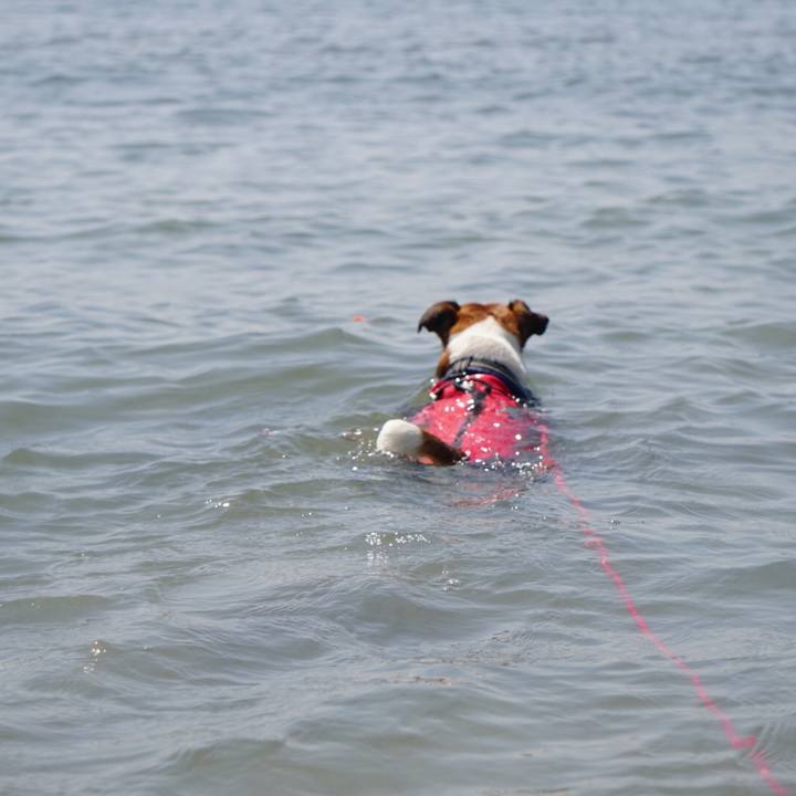 4cbce76a 645d 4cd3 a396 42c4006d679b 1528499924814