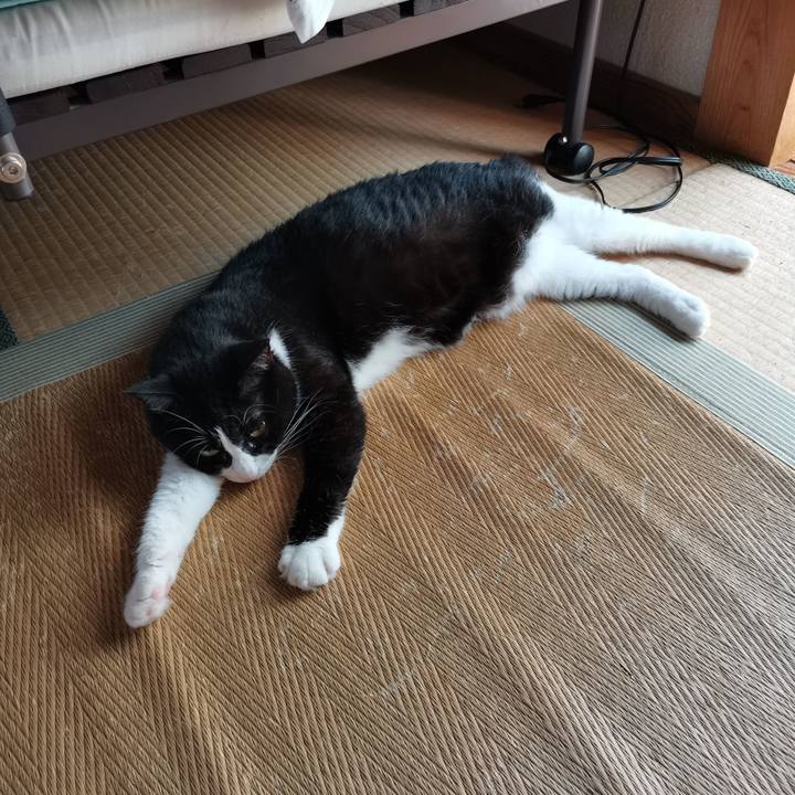 4cbd2b3b 6a1a 4f1f af9a 3e134f88452b 1692937629967