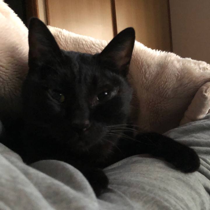 4cbd5fe6 2da8 4072 a28c cd1c5ac4c2b6 1728507465102