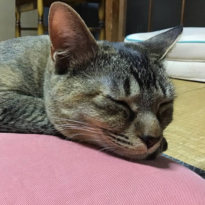 4cbd6163 2262 45da a549 ff2fa1d712d4 1581156909459