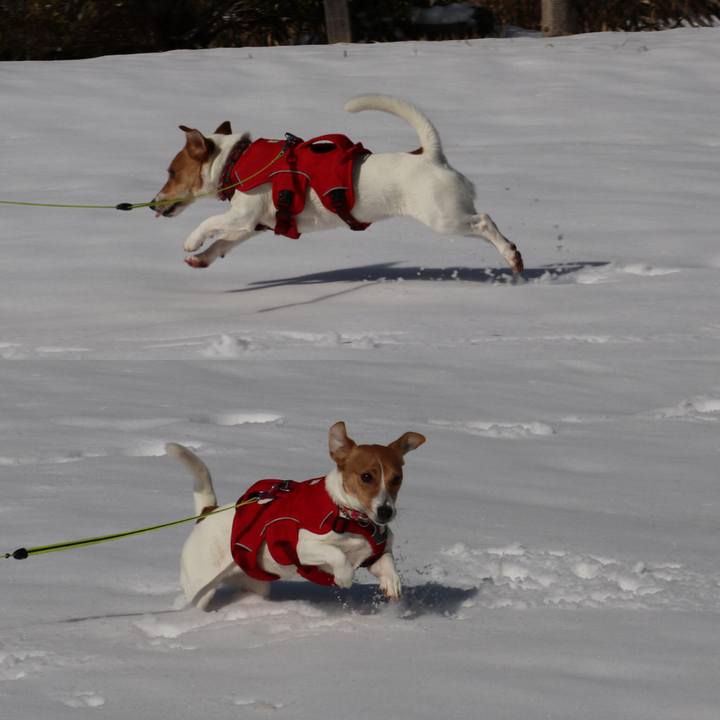 4cbd6bc1 b18d 47d5 9d6e 51178d732704 1517634085308