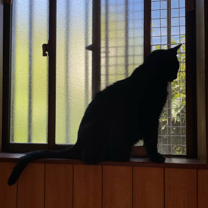 4cbd7527 e08f 4638 8d37 10b769c09eb5 1659575713851