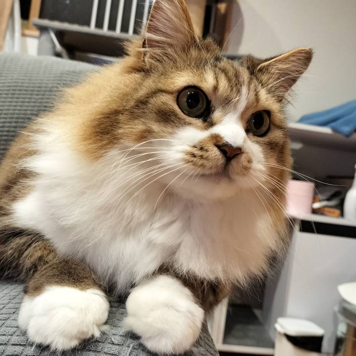 4cbda8ba a49a 49ad 9d09 bf5e9d206f7a 1771055972748