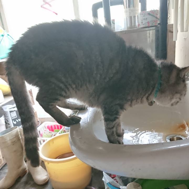 4cbdba0b c2ed 43cc bb5a 750d5940b48f 1571522428068