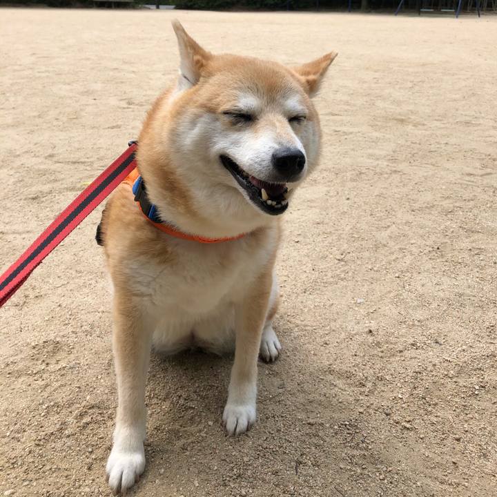 4cbdbb76 c042 4853 89d6 13f43c51f145 1591147903868