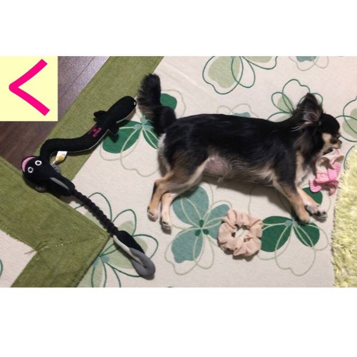 4cbdbf6c 8be5 43ce b565 268ff871ff4c 1567640729848