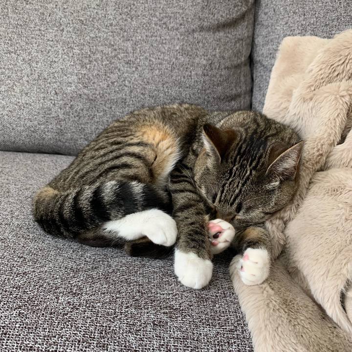 4cbdc8ab 4b61 49c0 8572 8b66274785a3 1546683182207